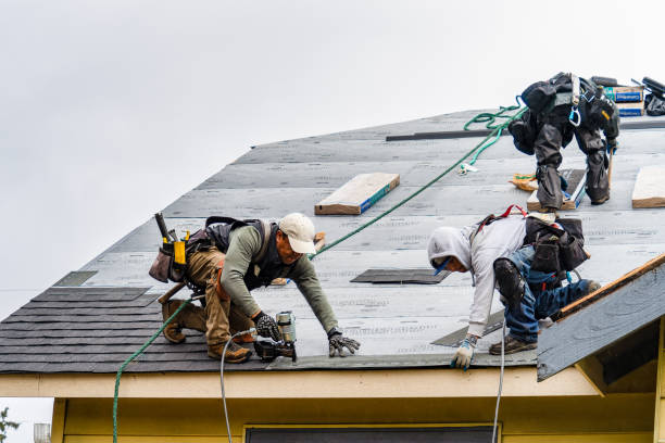 Professional Storm Damage Roof Repair technician working in Altamont, KS
